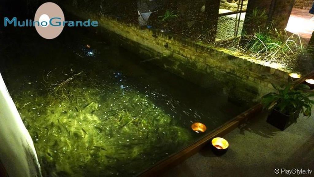 Hotel Mulino Grande Cusago Dış mekan fotoğraf